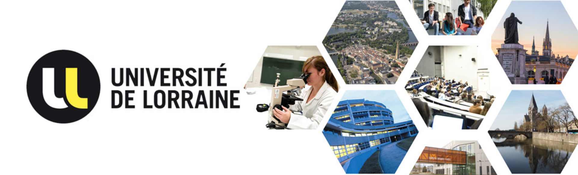Université de Lorraine Máster en Biomecánica