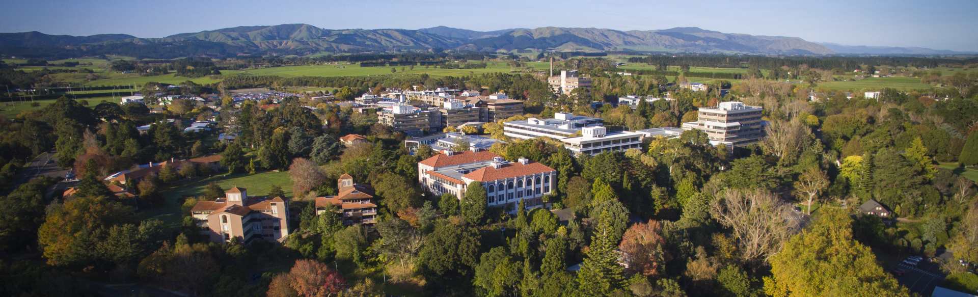 Massey University Bachelor of Design (Hons)
