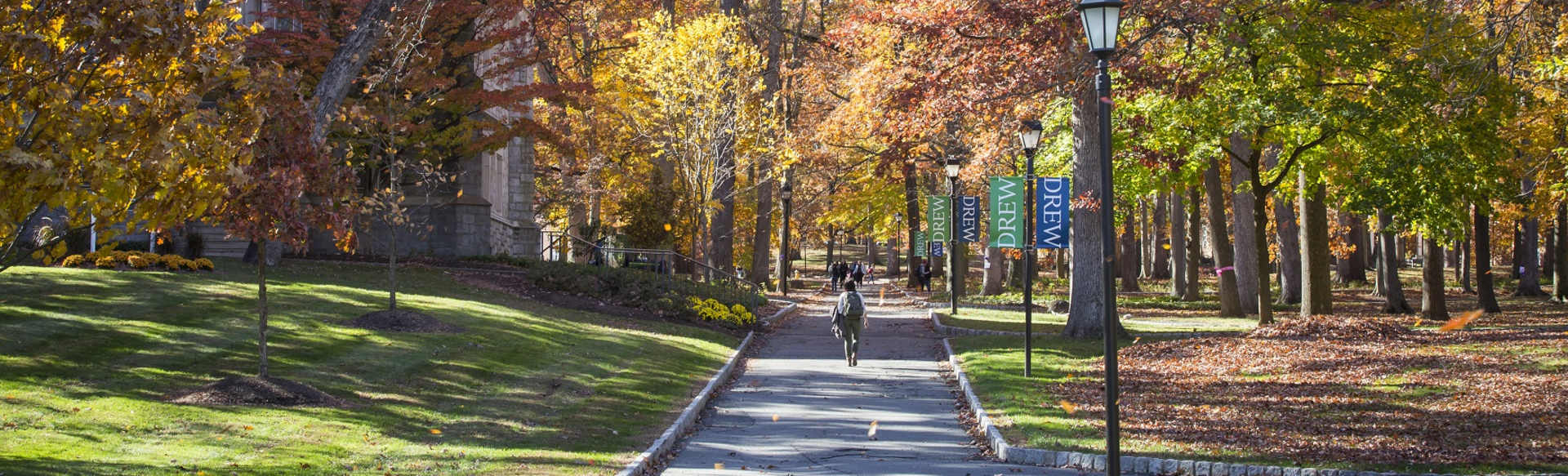 Drew University Master of Letters in Arts & Letters