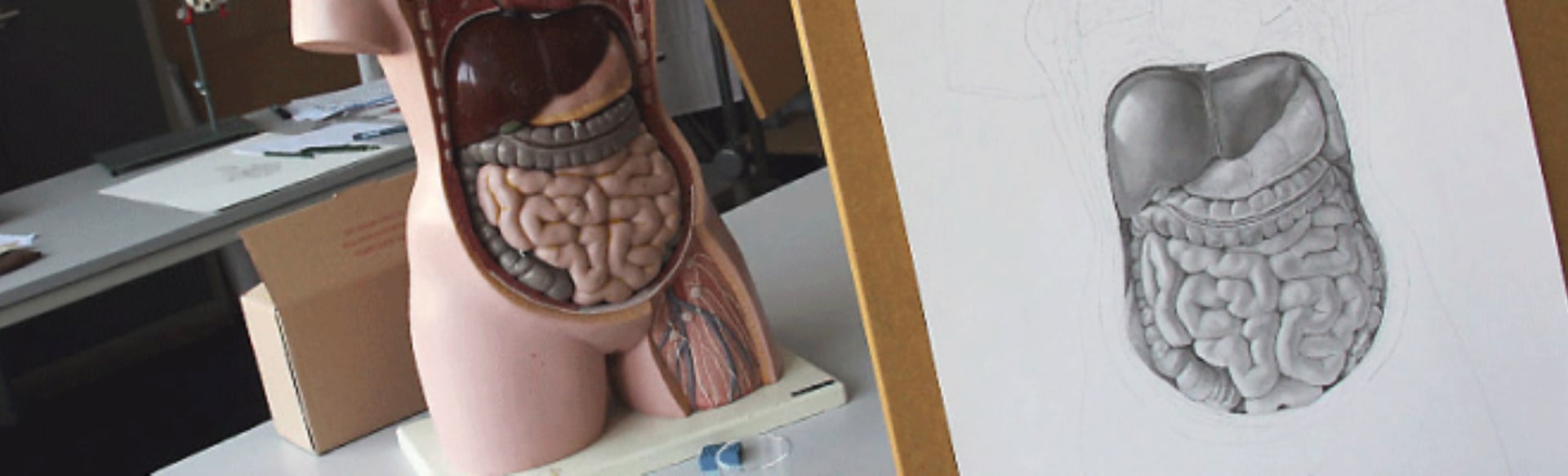 Zuyd University of Applied Sciences Master Scientific Illustration