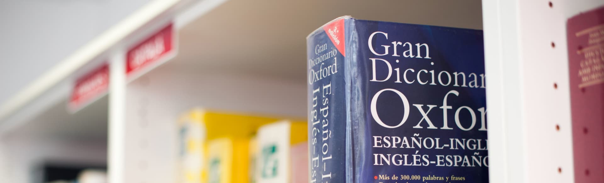Universitat de Vic Master-Abschluss in Fachübersetzung