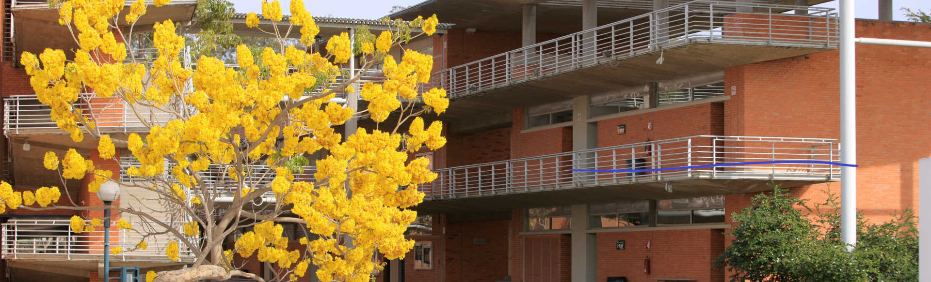 ITESO - Universidad Jesuita de Guadalajara Bằng Thạc sĩ về Hệ thống Máy tính