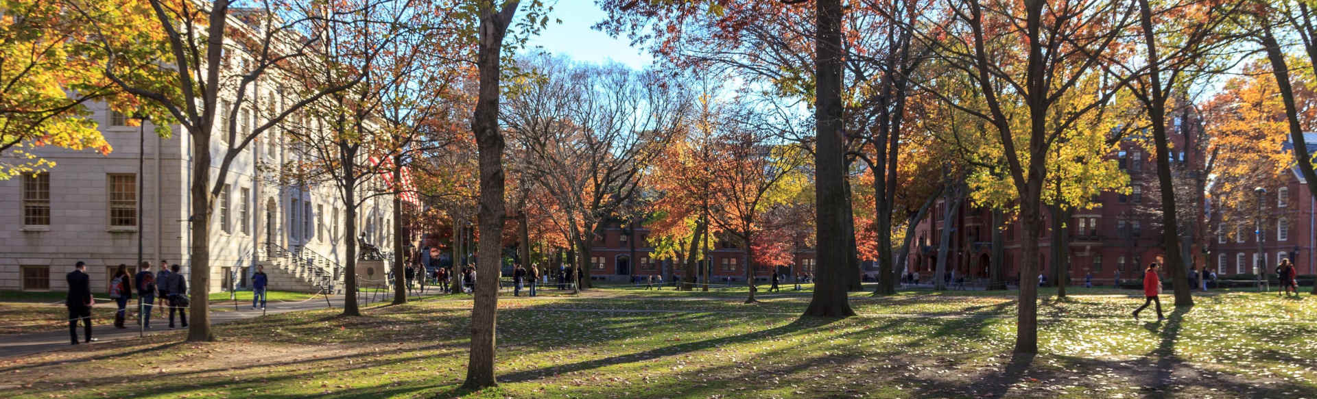 Bellarmine University Licenciatura en Ciencias de la Salud en Radioterapia