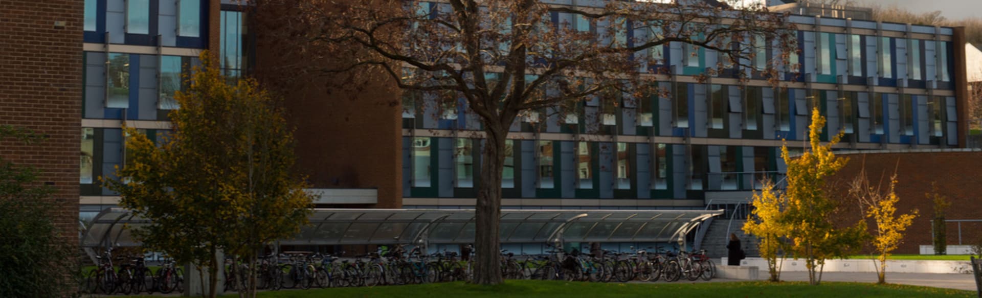 University of Sussex LLM en Derecho Internacional de los Derechos Humanos