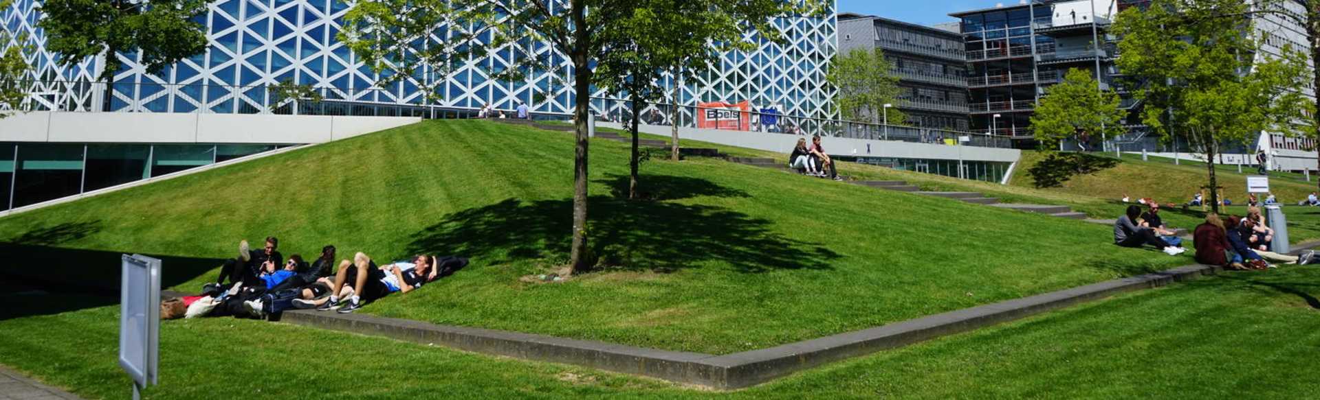 Windesheim University of Applied Sciences BBA Global Project y Change Management