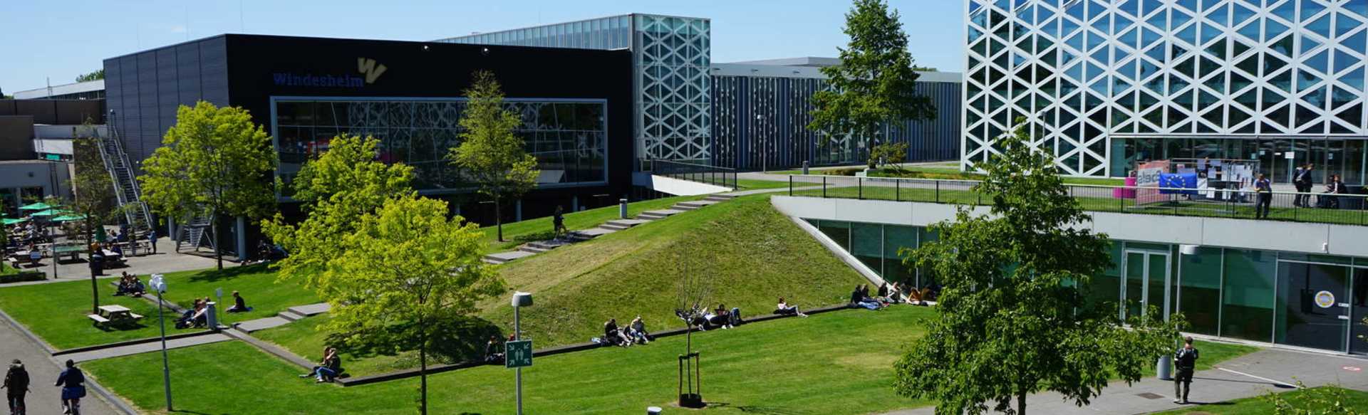 Windesheim University of Applied Sciences Negocios Sostenibles e Innovaciones (BBA)