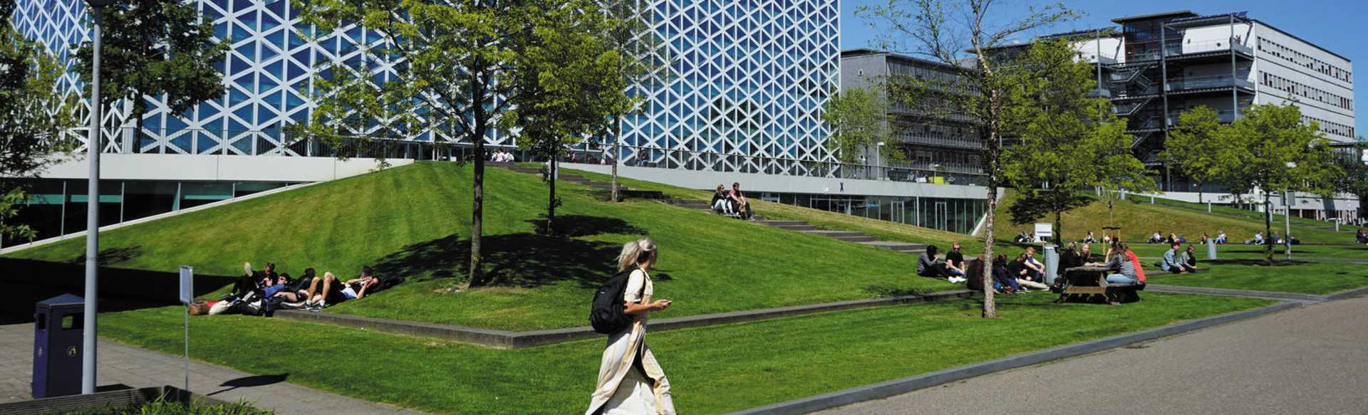 Windesheim University of Applied Sciences Internationales Geschäft (BBA)