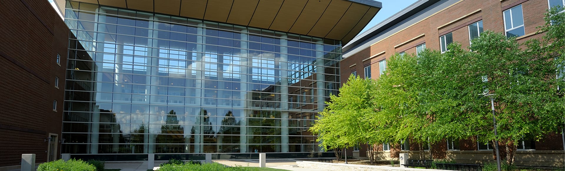Gies College of Business at the University of Illinois Urbana-Champaign MS en Business Analytics