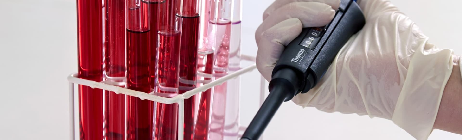 University of Skövde MSc in Infektionsbiologie