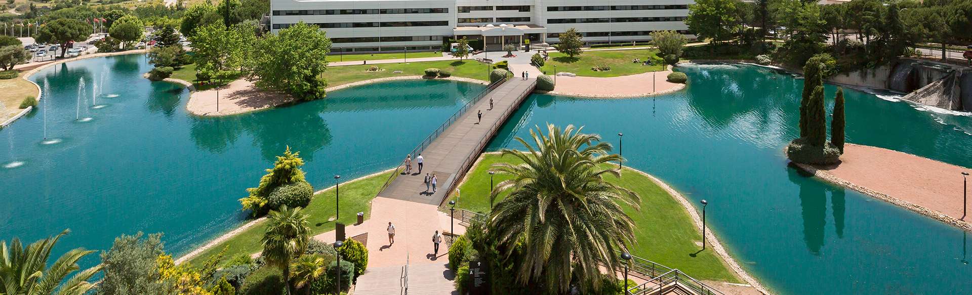 Universidad Europea Bachelor's Degree in Business Administration