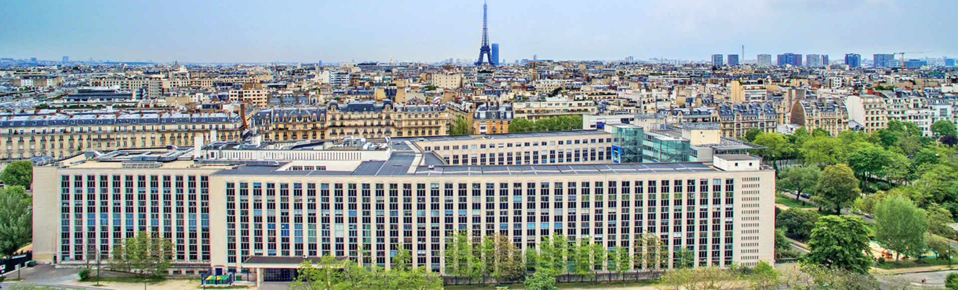 Paris Dauphine University Виконавчий Phd