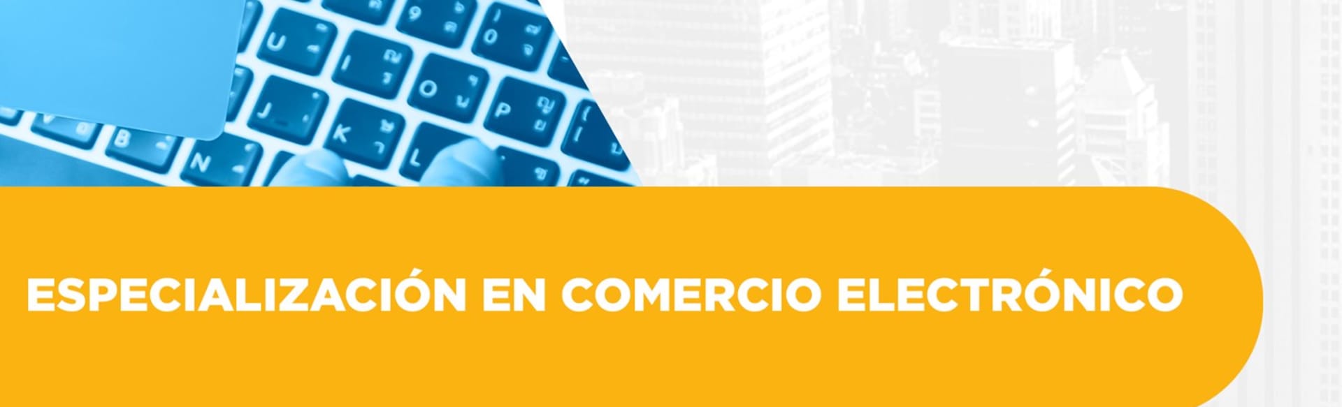 Escuela de Negocios Alto Nivel - Universidad Panamericana de Guatemala Specialization in Electronic Commerce