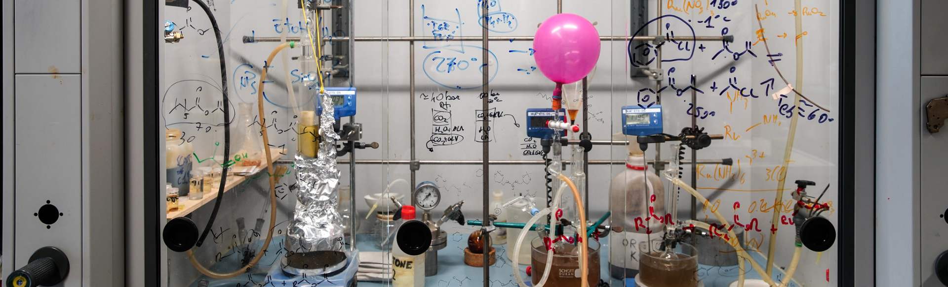 Ca' Foscari University of Venice MA in Science and Technology of Bio and Nanomaterials