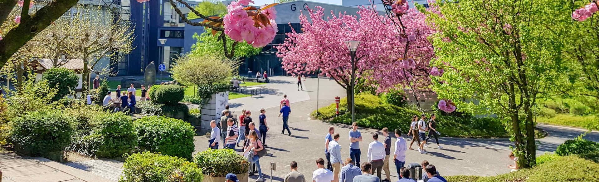 Paderborn University MSc in Electrical Systems Engineering