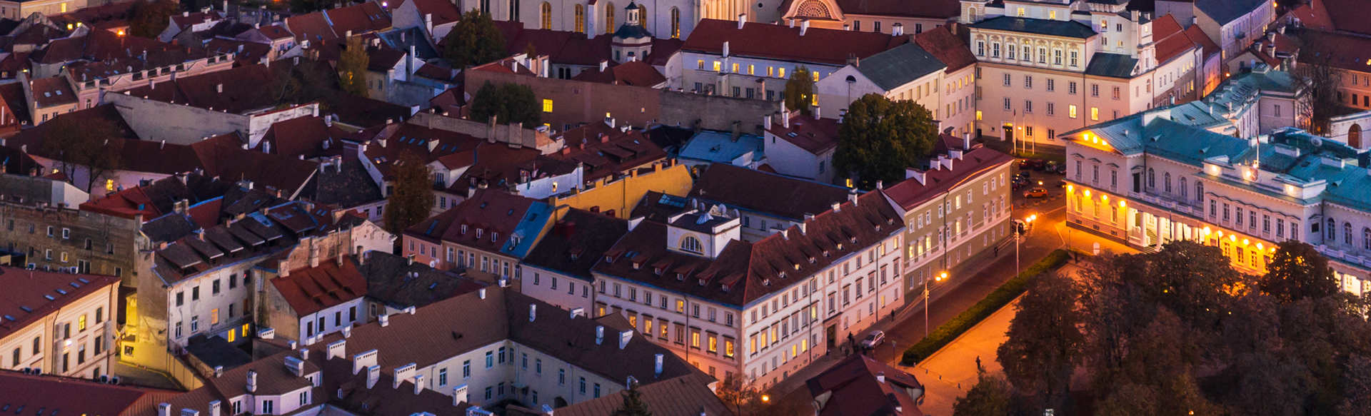 Vilnius University Magister zarządzania sztuką