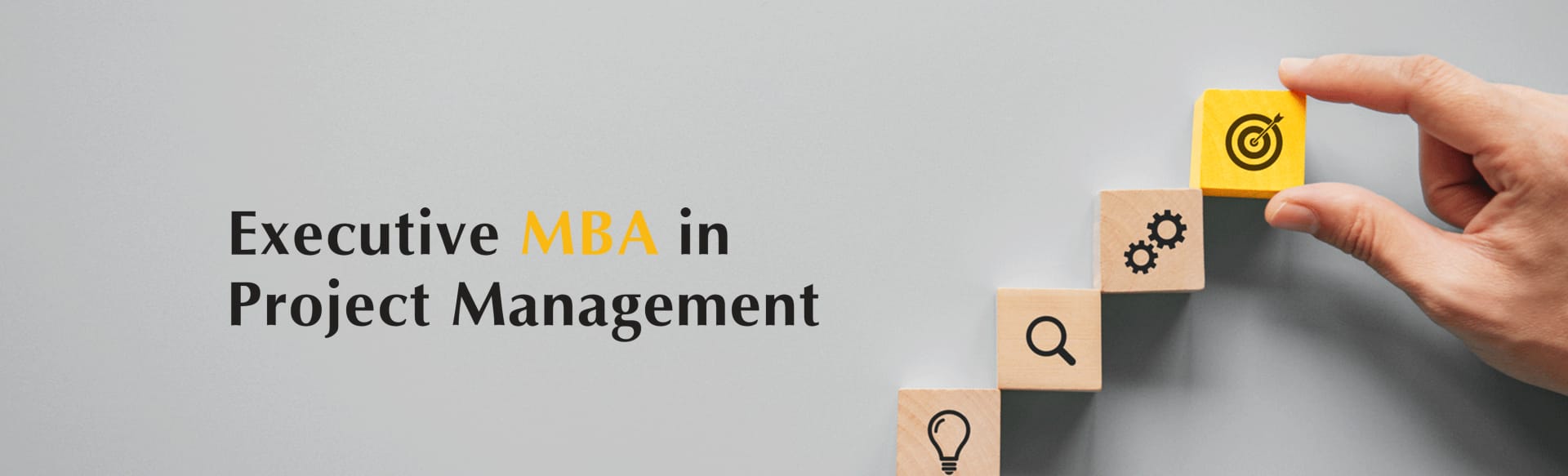 Eaton Business School Online Executive MBA in Projektmanagement
