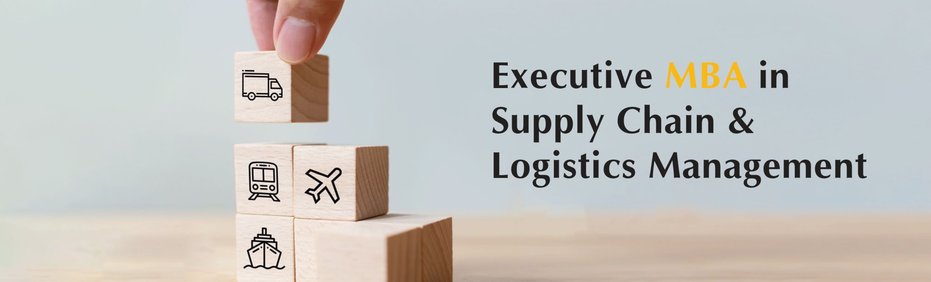 Eaton Business School Online Executive MBA toimitusketjussa ja logistiikan hallinnassa