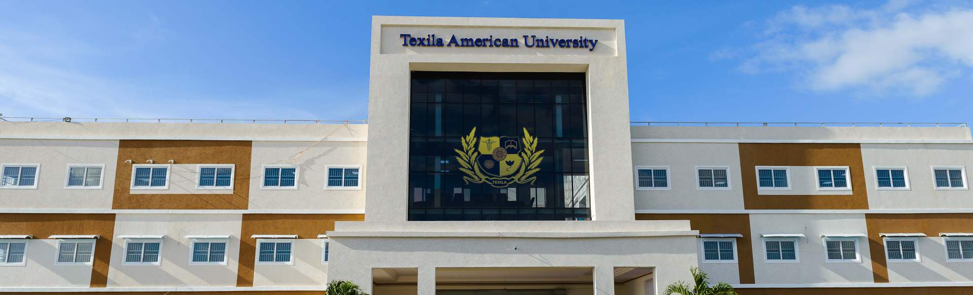 Texila American University Certificate in Middle Strategic Management