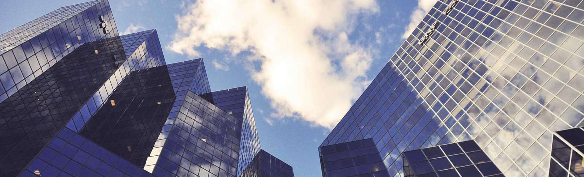 Schiller International University Licenciatura en Negocios Internacionales