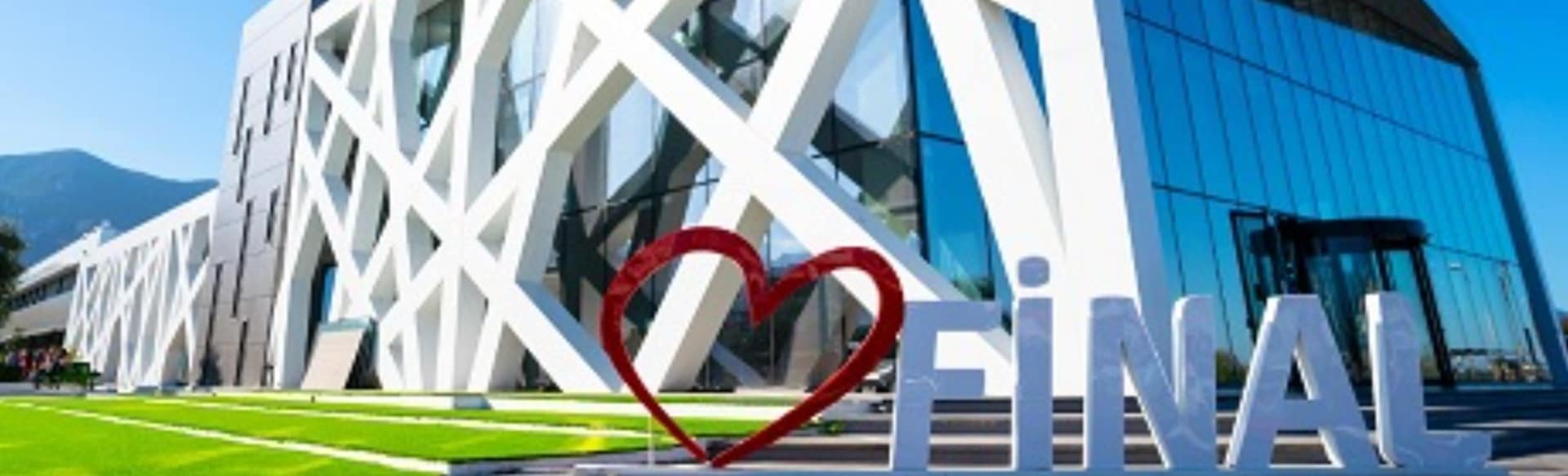 Final International University in Cyprus Master of Business Administration (MBA)