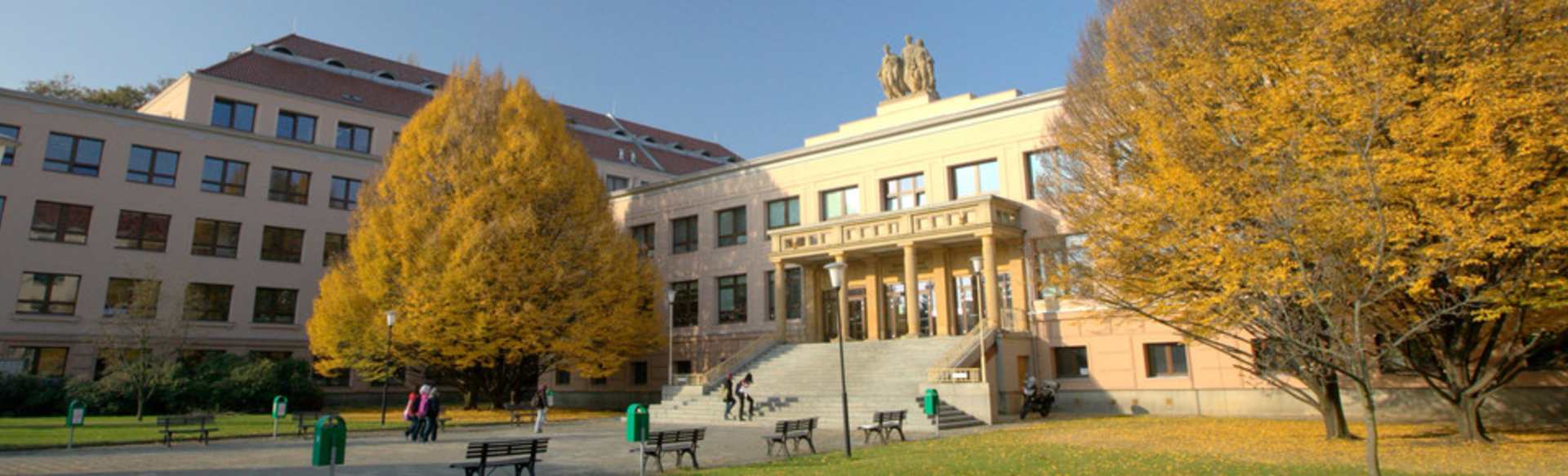 Palacky University Doctor of General Medicine