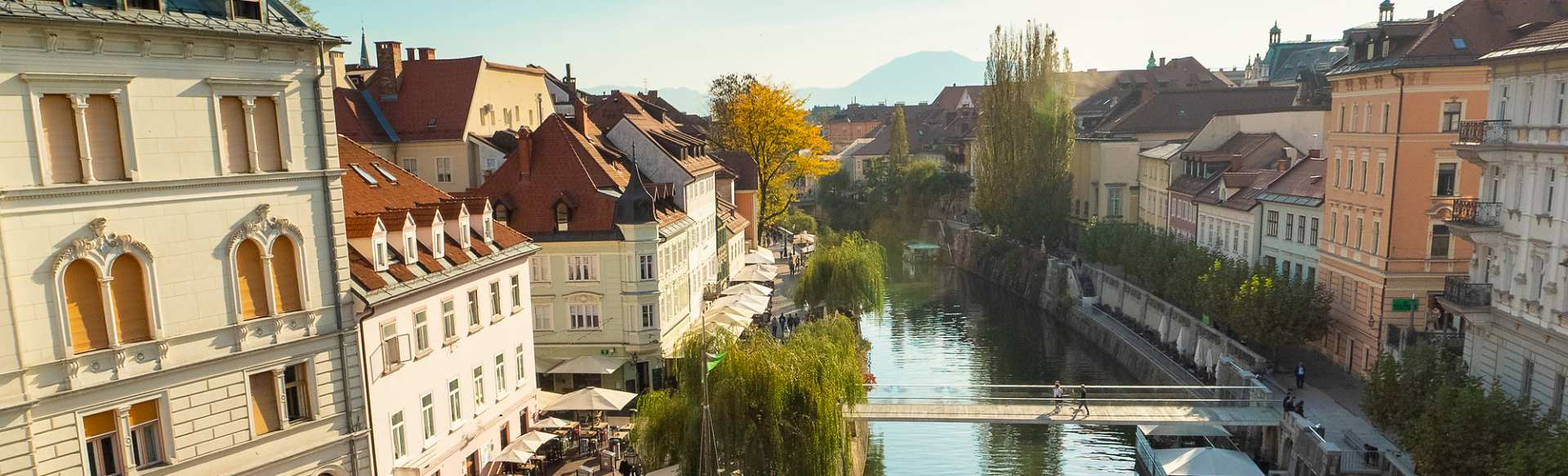 University of Ljubljana आपूर्ति श्रृंखला और रसद में विज्ञान स्नातकोत्तर