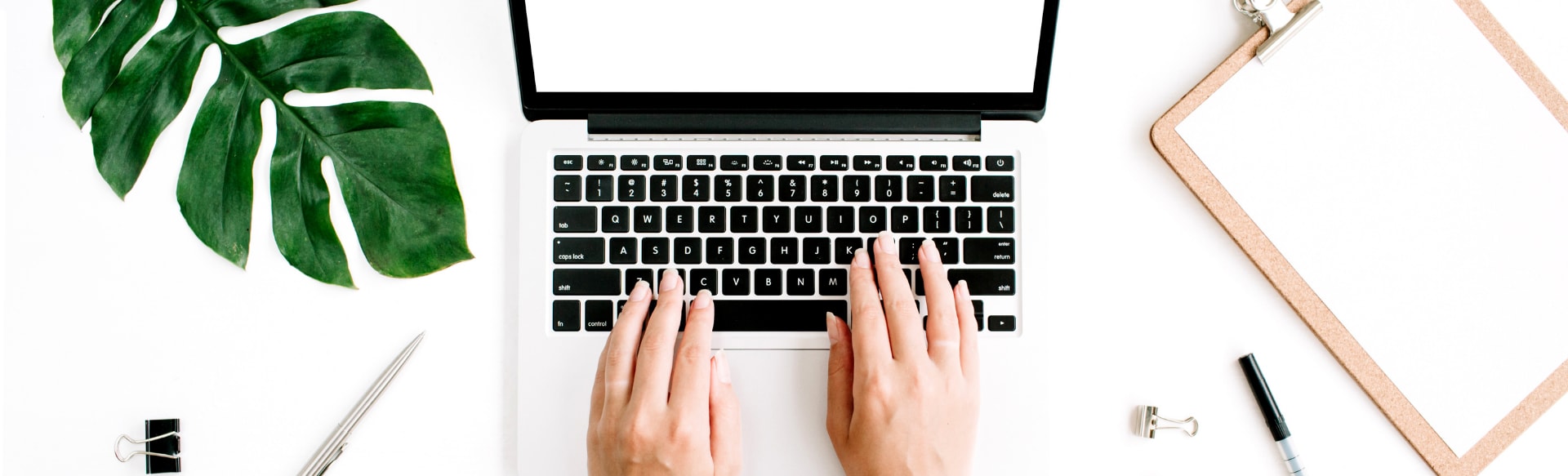 Business Institut EDU BBA Management Basics (online)