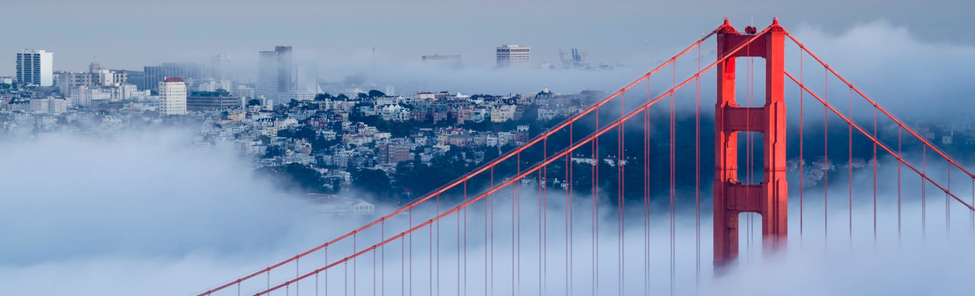 Presidio Graduate School MBA em Sustentabilidade