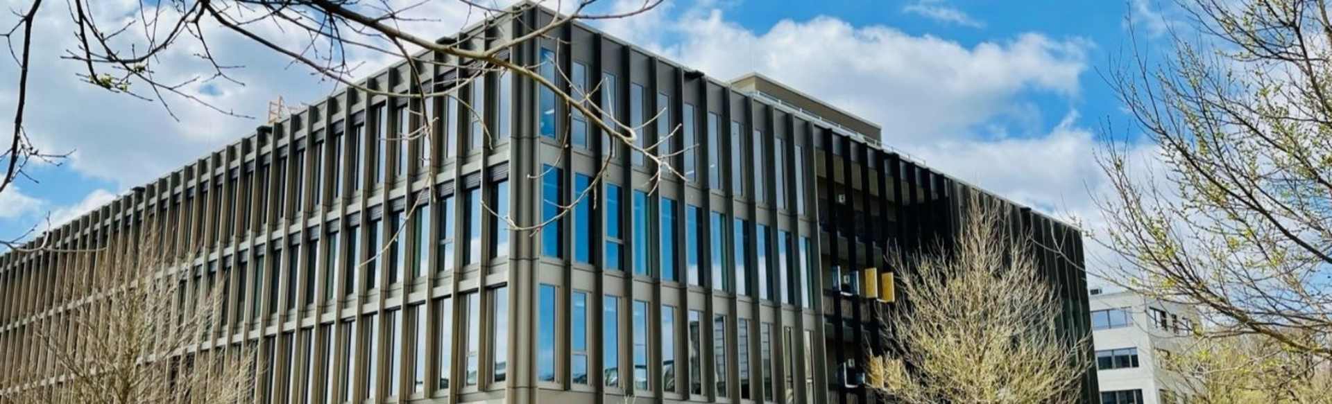 Gisma University of Applied Sciences ماجستير في إدارة الأعمال العالمية