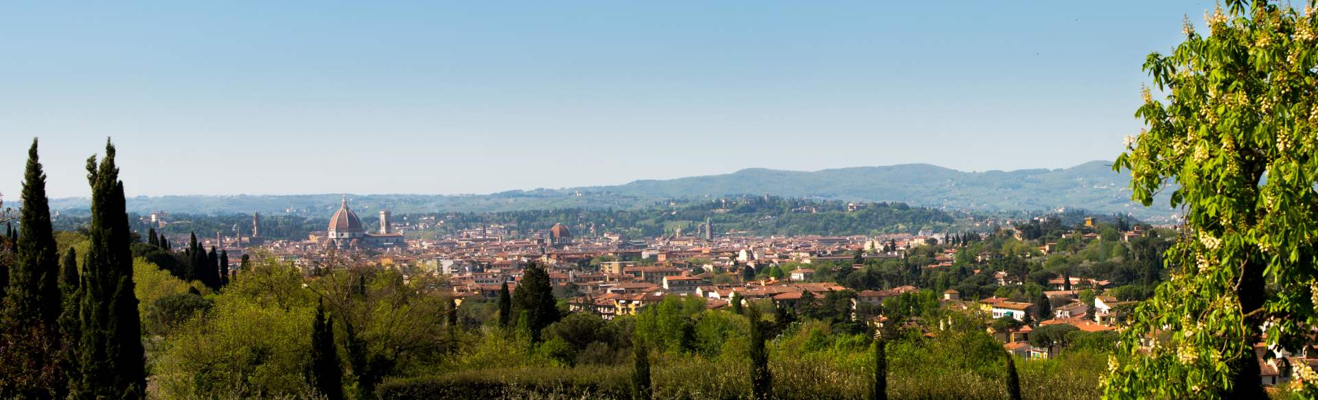 European University Institute (EUI) Sustainable Finance Academy