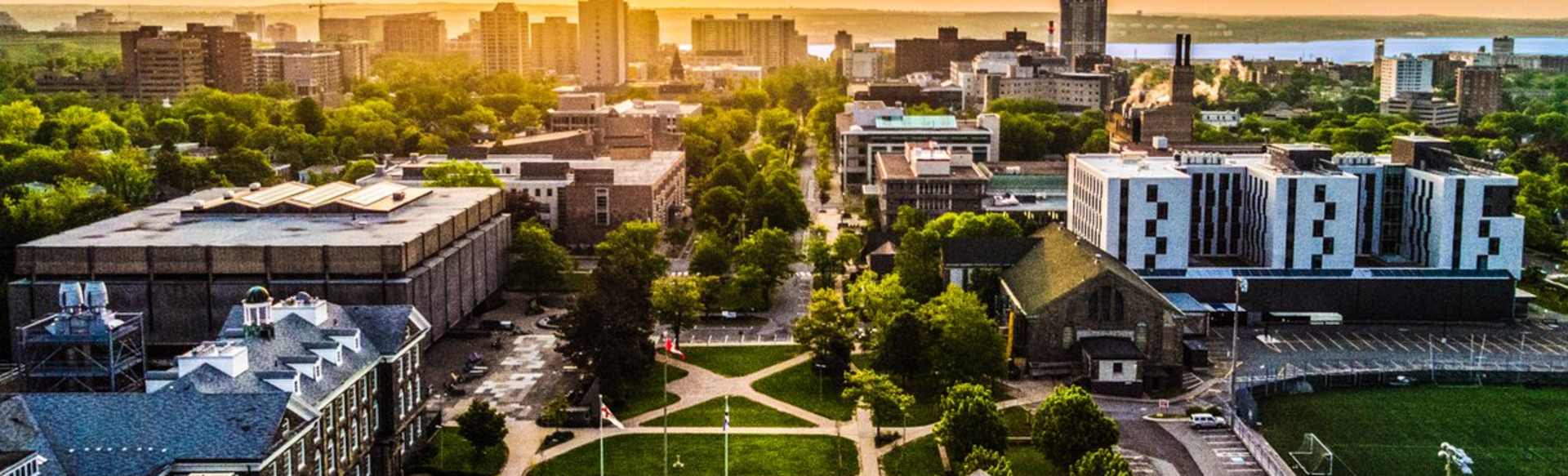 Dalhousie University MBA en Línea Blended
