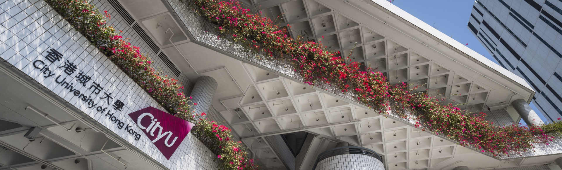 College of Engineering City University of Hong Kong ماجستير في الهندسة الميكانيكية
