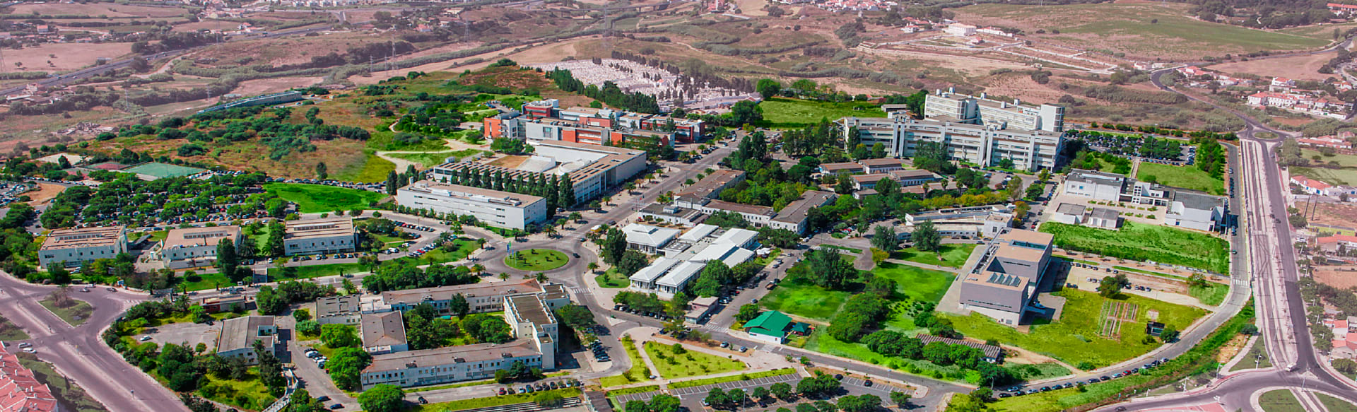 NOVA School of Science and Technology Abschluss in Mathematik, angewandt auf Risikomanagement