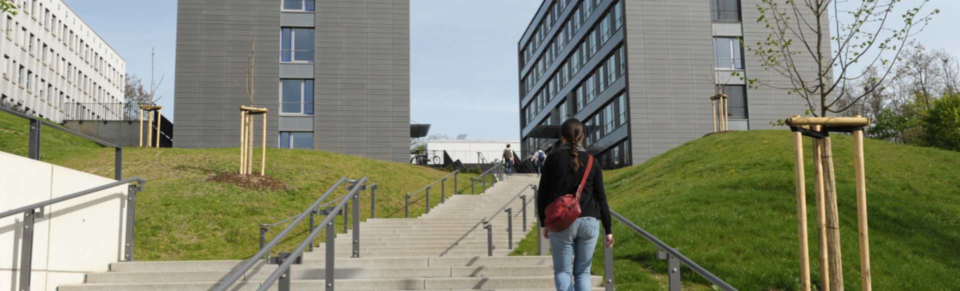 Technical University of Kaiserslautern Landau Master of Science en gestion de la pollution de l'environnement (écotoxicologie)