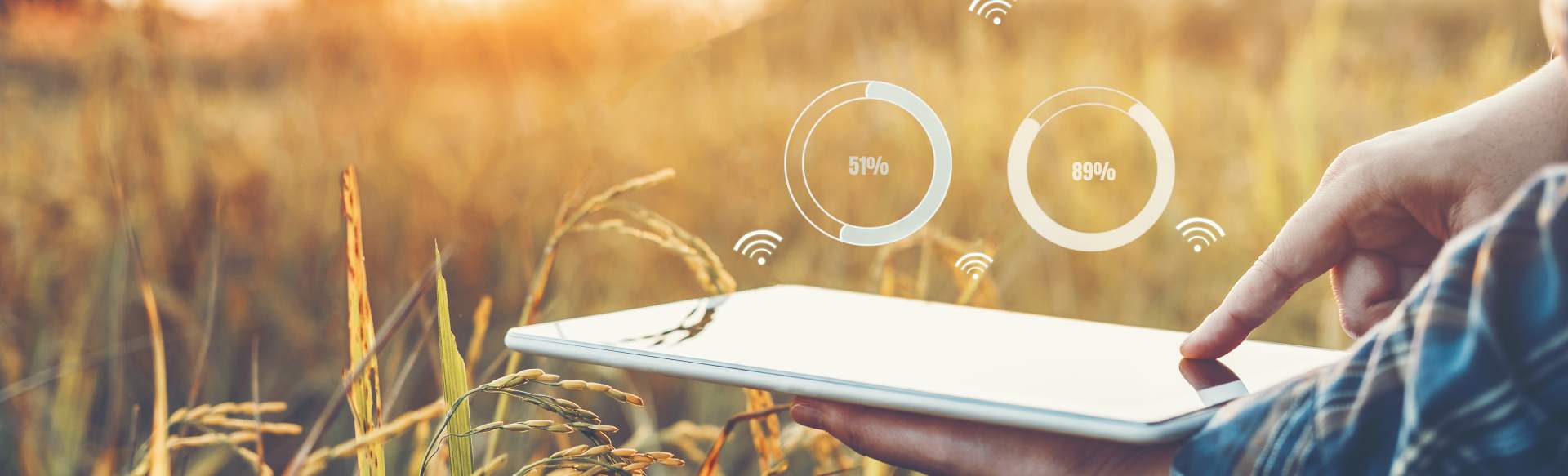 University of Pavia Máster en Sostenibilidad Agroalimentaria