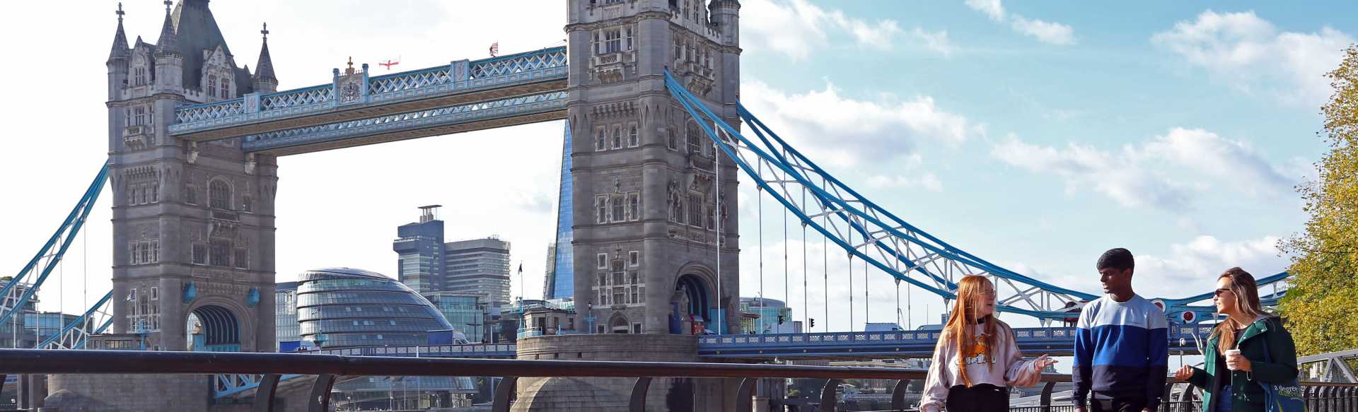 Northeastern University London MS-Projektmanagement