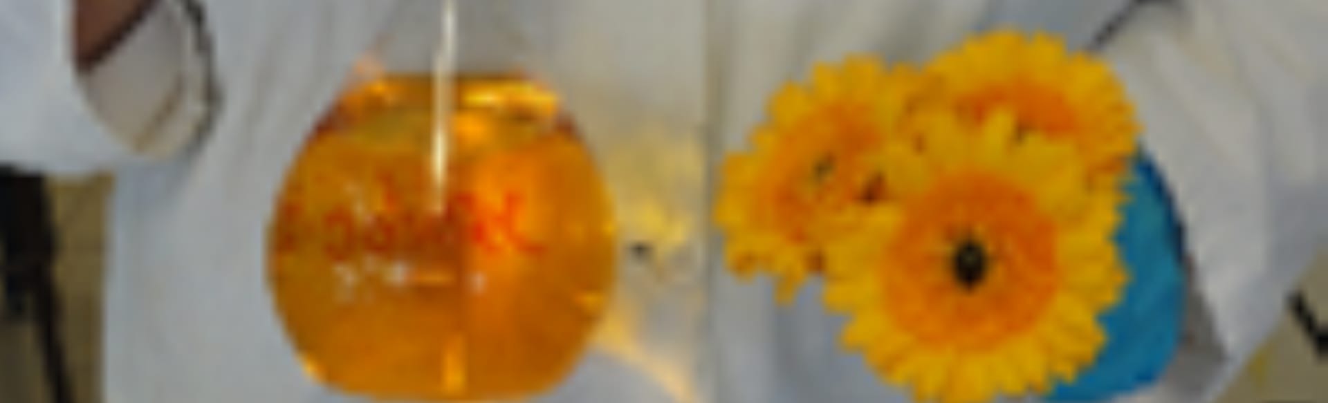 Université de Poitiers Maestría en Ciencias en Química (Química verde, Catálisis y Medio Ambiente) - IntREE Graduate School