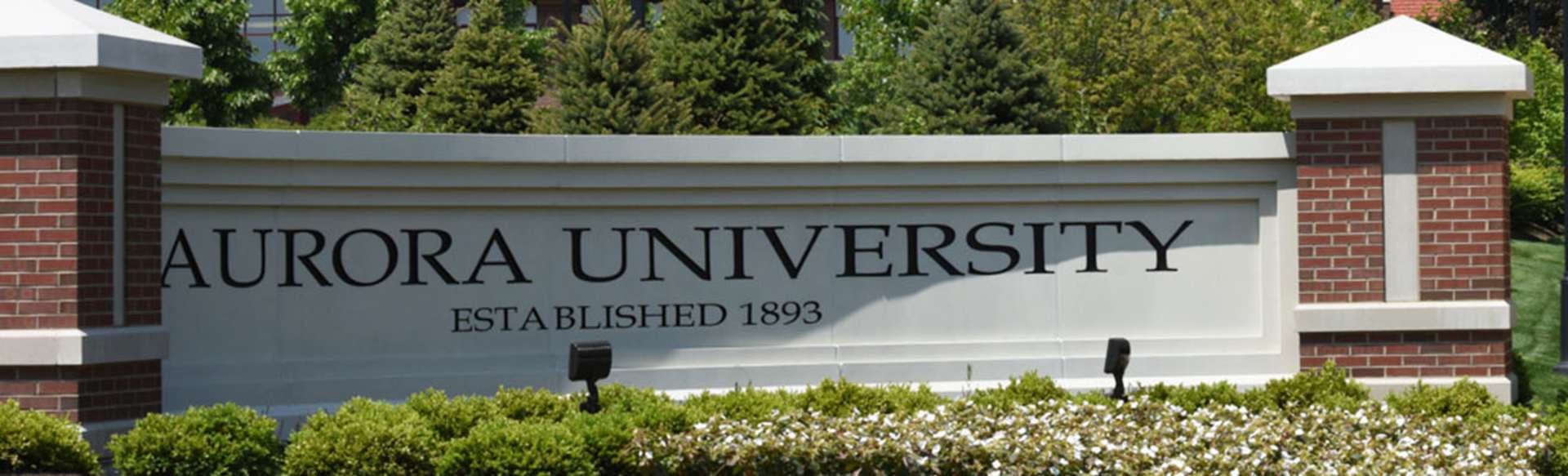 Aurora University Online Opción Dual MSW / MBA