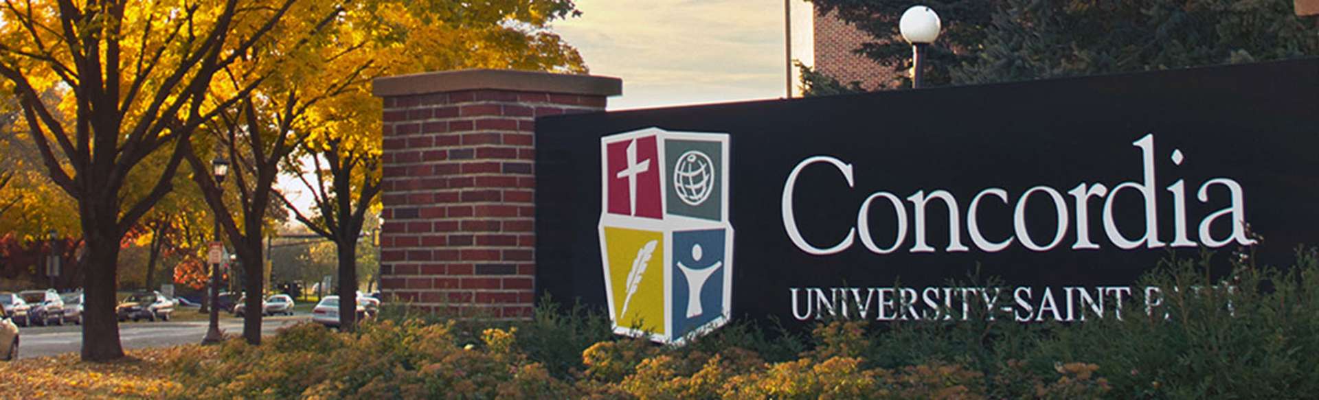 Concordia University, St. Paul Global BA i barnutveckling