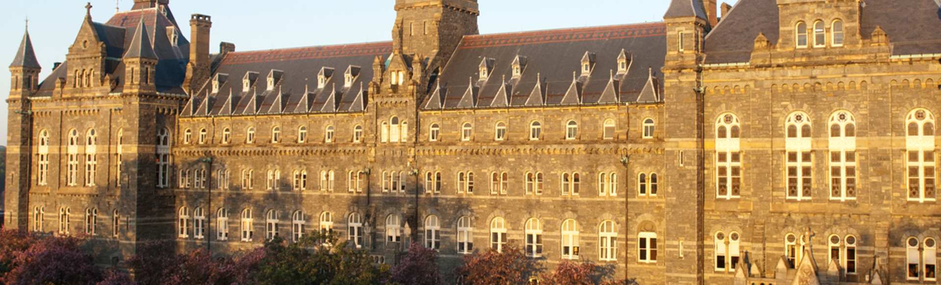 Georgetown University Online Master of Professional Studies in Information Technology Management