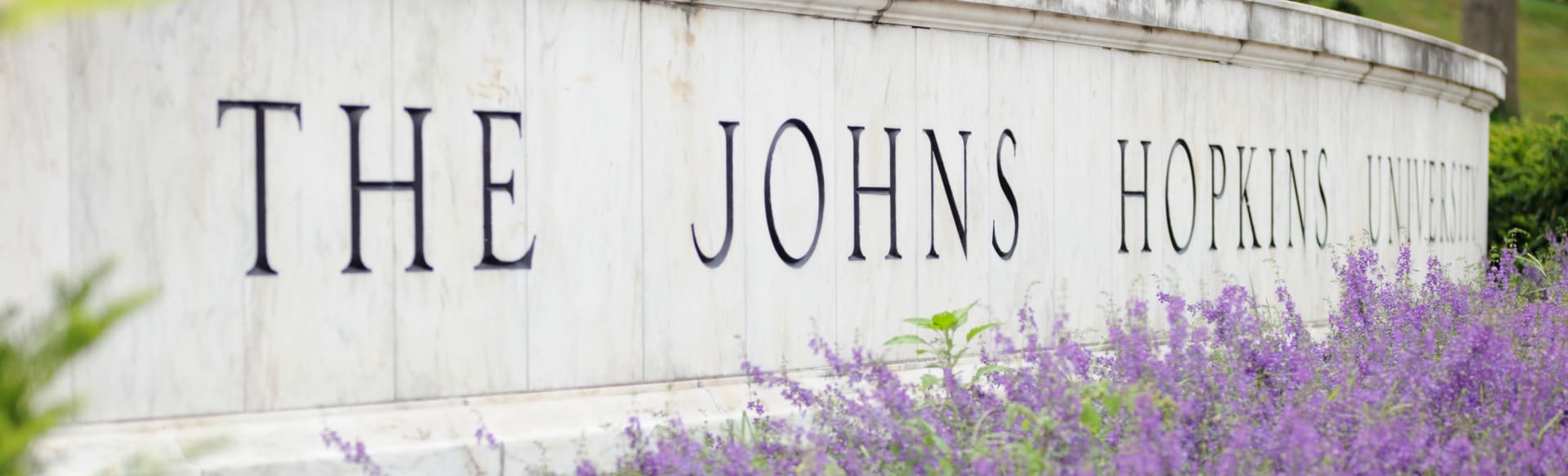 Johns Hopkins University, Advanced Academic Programs Master of Arts in Film and Media