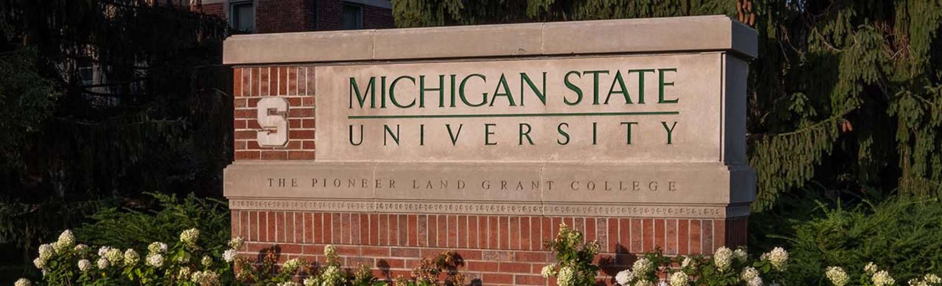 Michigan State University Online Магистр уголовного правосудия