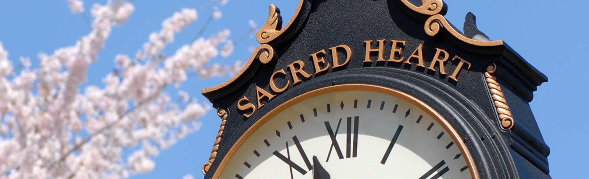 Sacred Heart University Online Terveyshallinnon maisteri