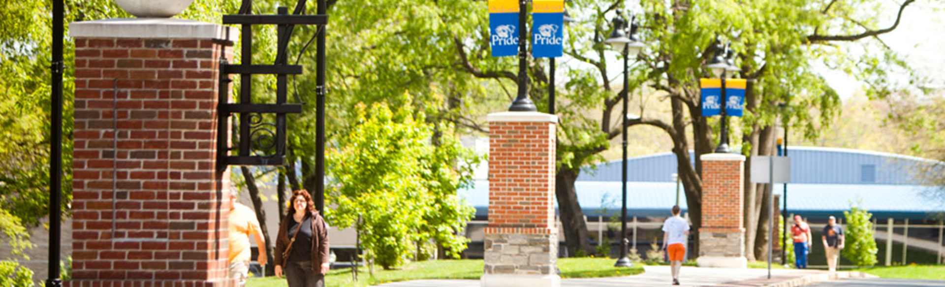 Widener University Online Master of Social Work - Advanced Standing