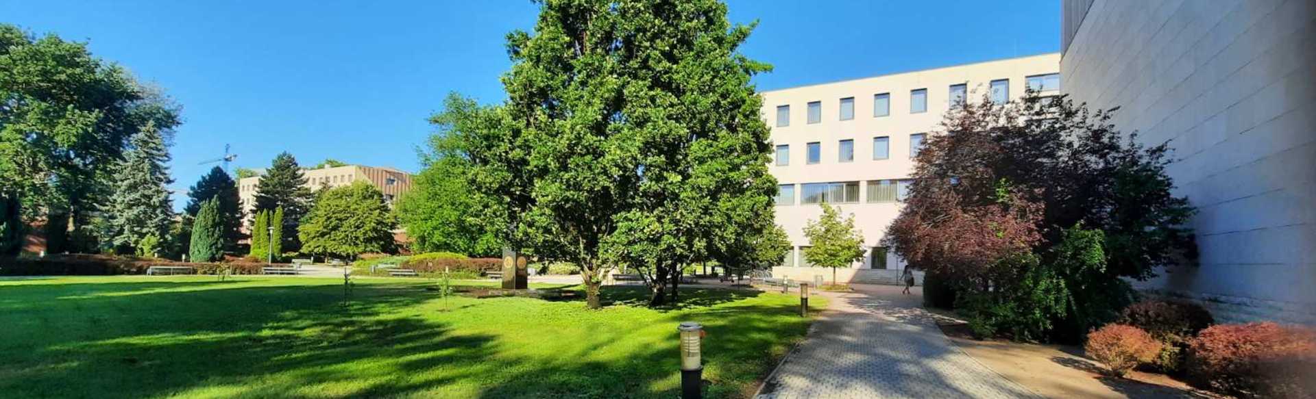 University of Nyiregyhaza Földrajz BSc