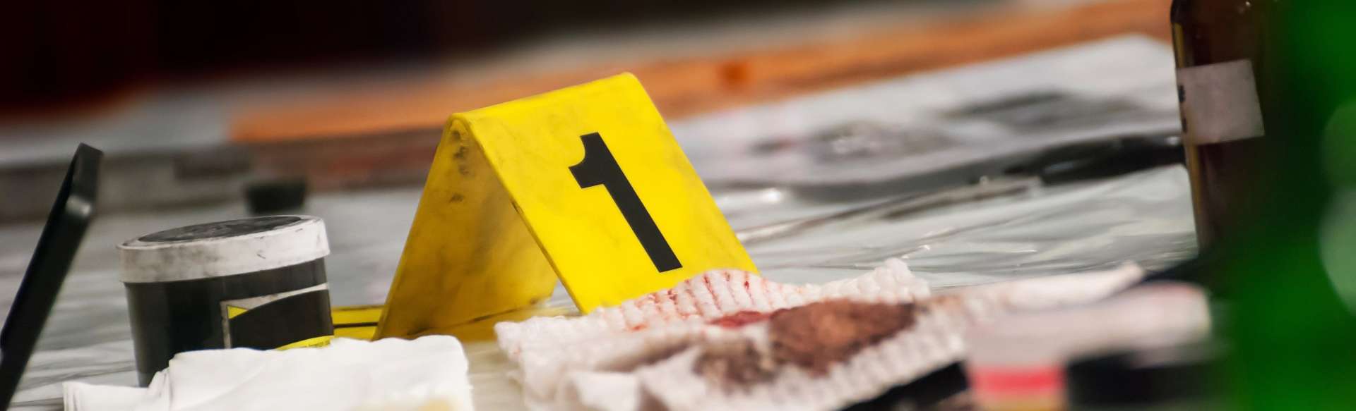 Universitat Rovira i Virgili Master en médecine légale génétique, physique et chimie