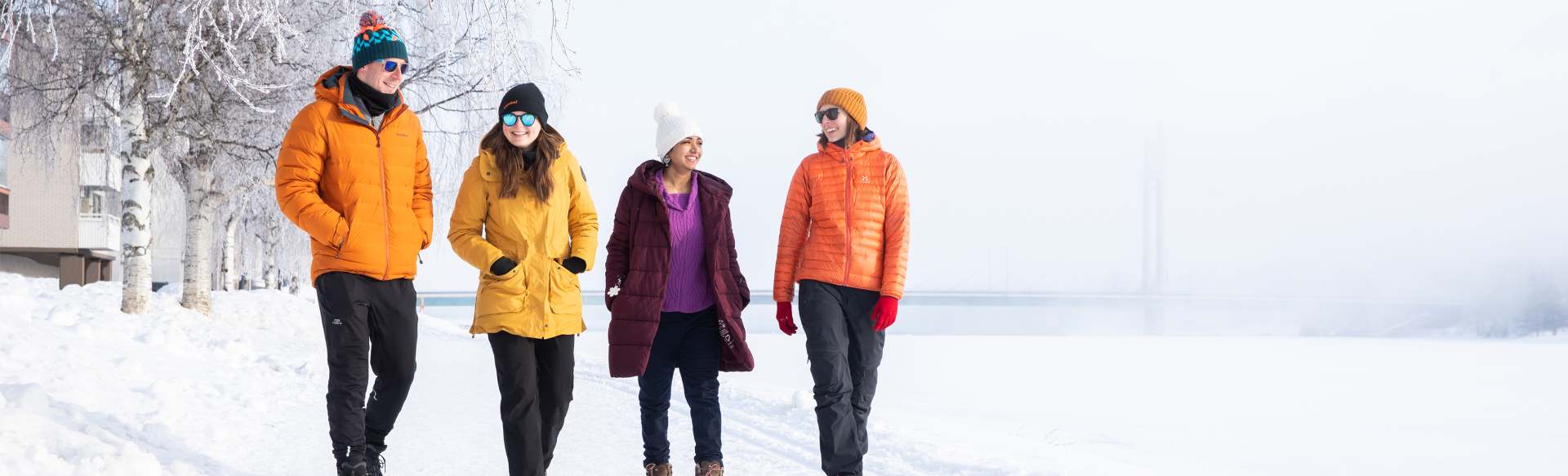 Lapland University of Applied Sciences (LAPIN AMK) Kauppatieteiden kandidaatti (International Responsible People and Business Management)