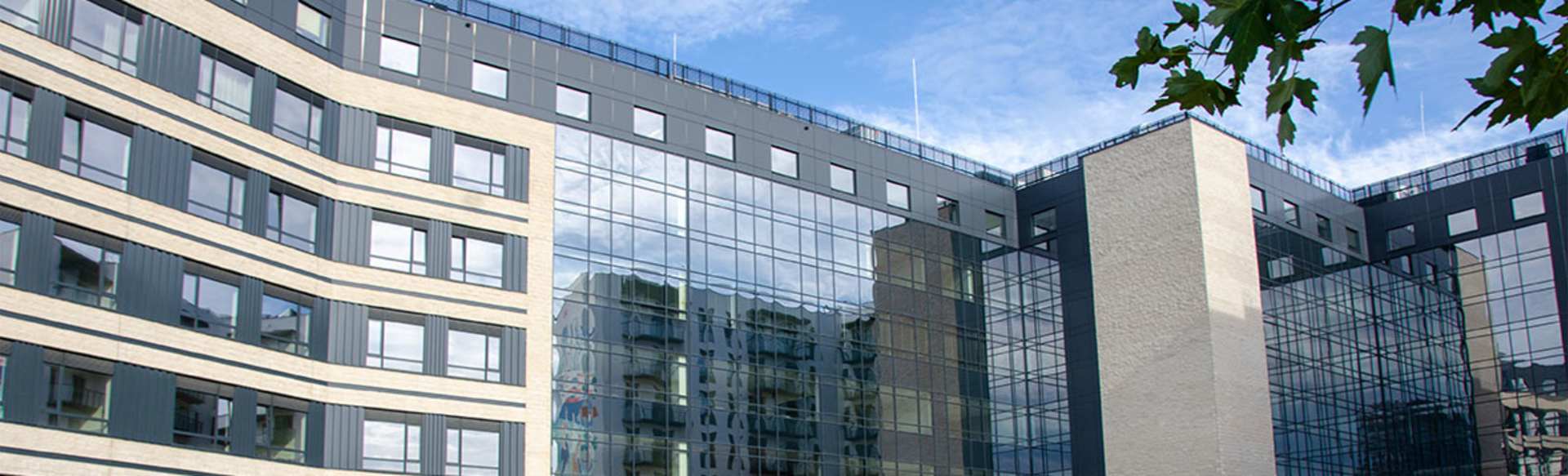 University of Economics and Human Sciences Mestrado em Gestão de Marketing