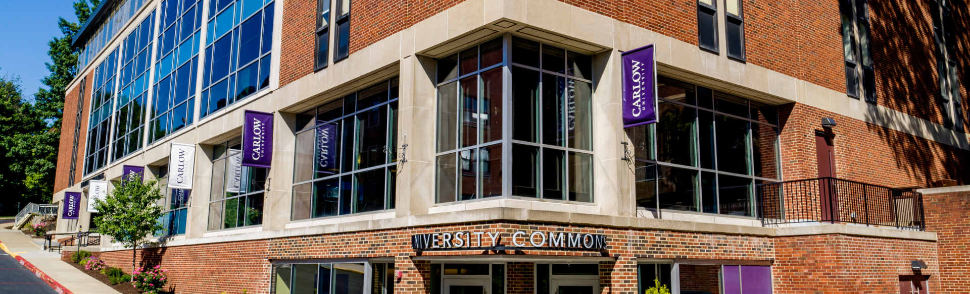 Carlow University Online Bachelor of Arts i psykologi