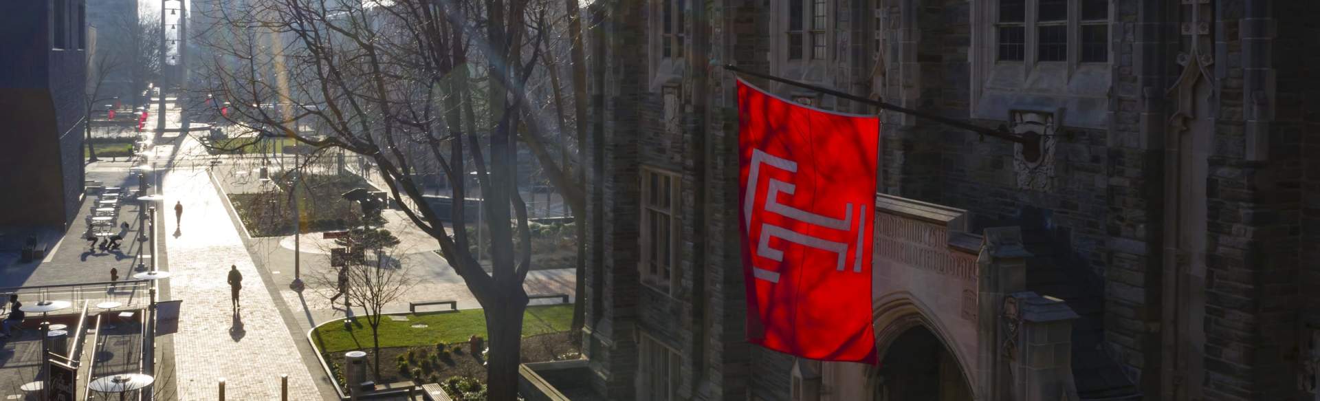Temple University Magister Kesehatan Masyarakat (MPH) dalam Epidemiologi